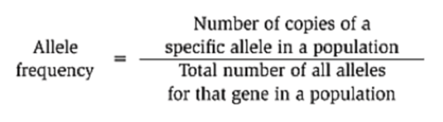 <p>the proportion of certain alleles in a gene pool</p>