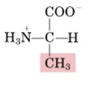 <p>What’s this aminoacid?</p>
