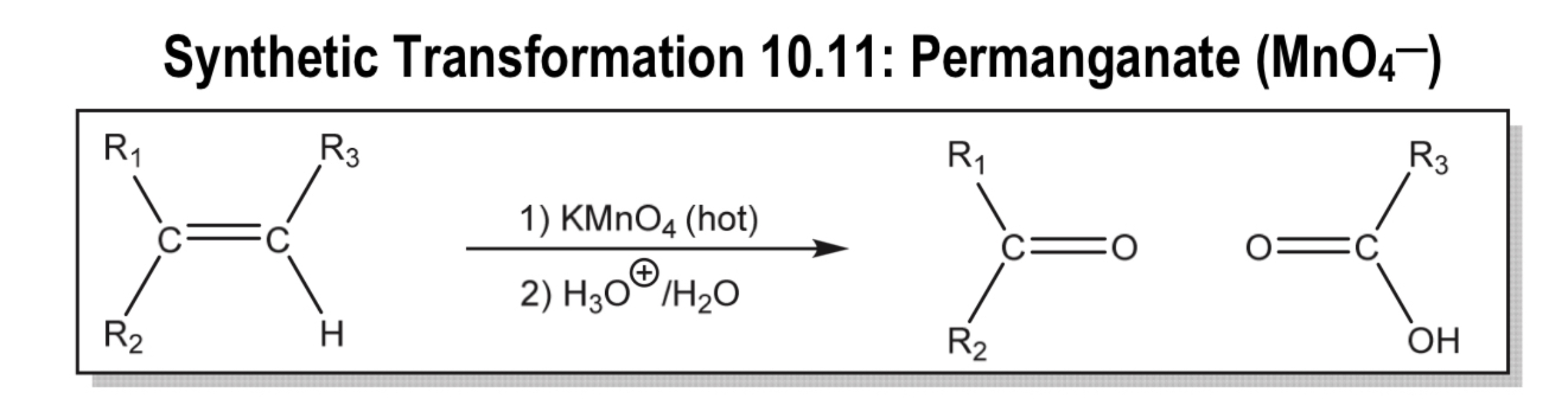 <ul><li><p>permanganate splitting double bond</p></li></ul><p></p>
