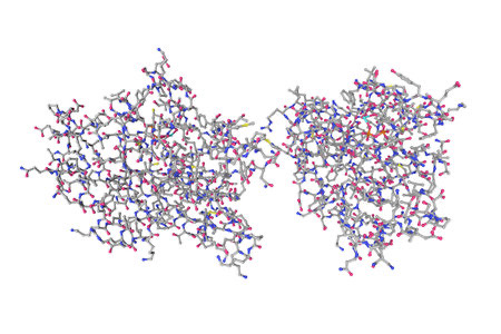 <ul><li><p>Para ver estructuras grandes</p></li><li><p>La forma general de la molécula </p></li></ul>