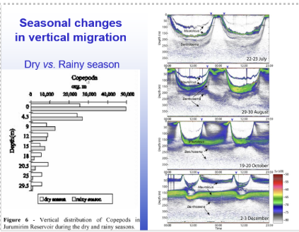 <p><span style="line-height: 20.925px;">-Algae is somewhat predictable, zooplankton are much more complex&nbsp;</span></p>