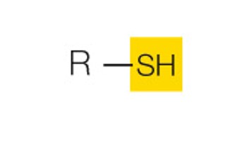 state the name and polarity of this functional group