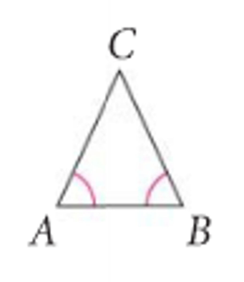 <p>base angles</p>