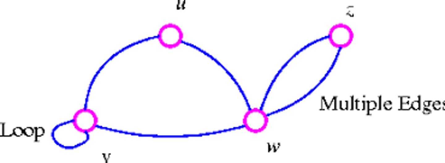 <p>Two edges joining the same two vertices.</p>