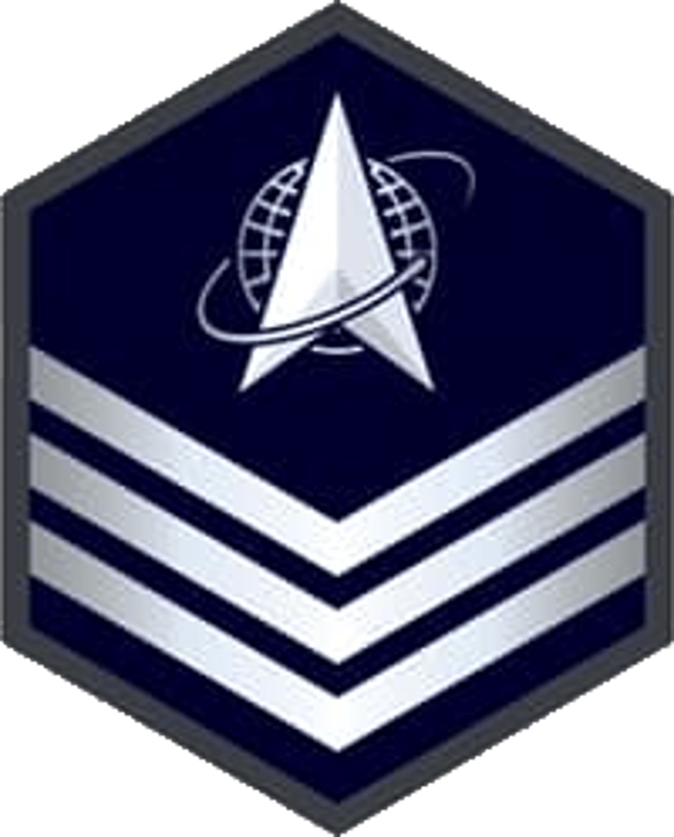 <p>Sergeant</p>