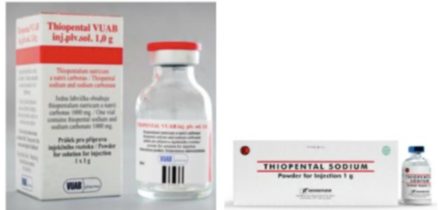 <p>powder- we mix it with saline</p>