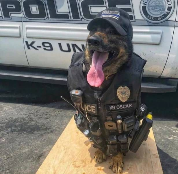 <p>There was no standing army or police force so the nobility and gentry enforced laws at local level</p>