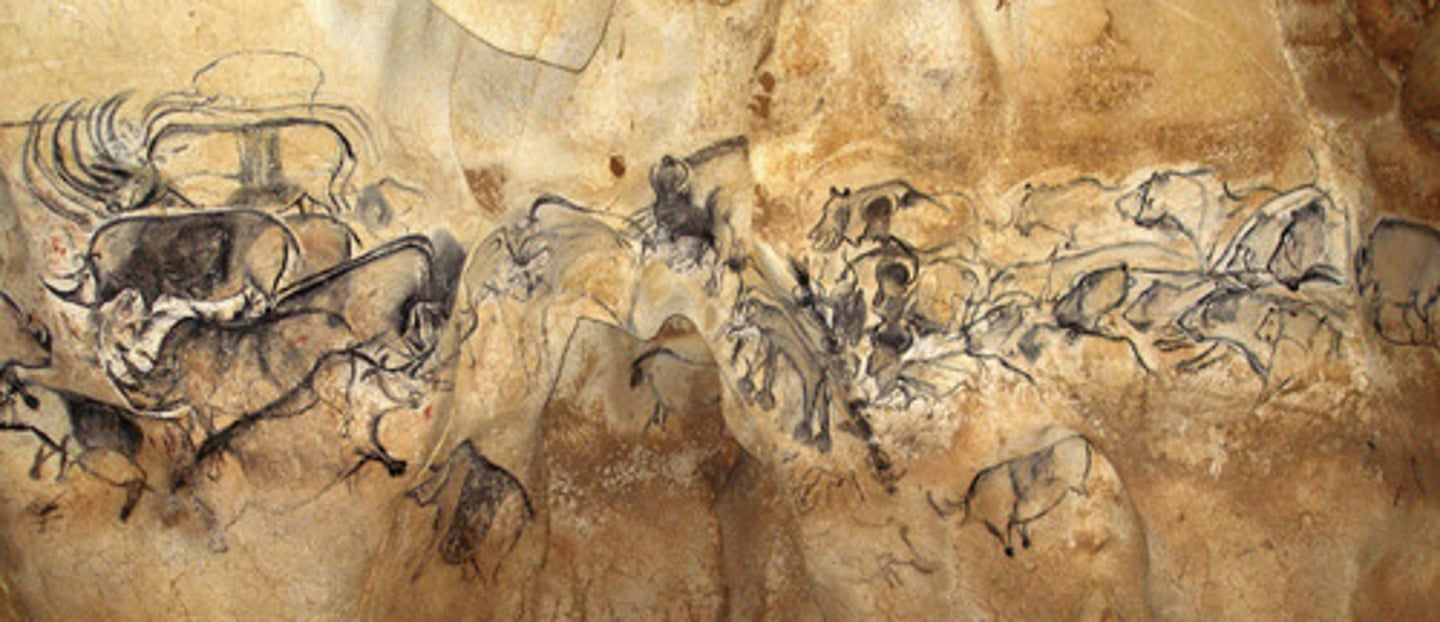 <p>Cave paintings located in Chauvet Cave, France, from the Paleolithic period.</p>