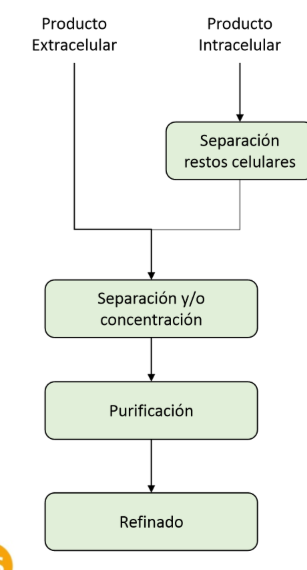 <p>¿En qué momento se encuentra?</p>