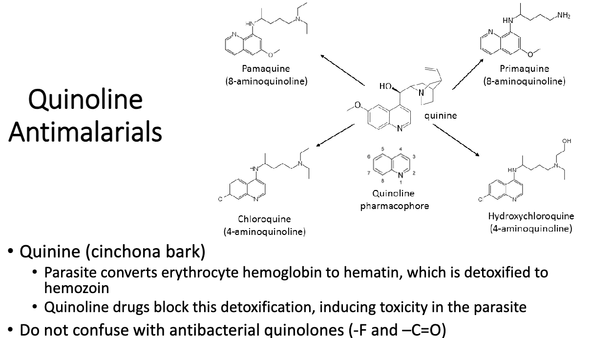 <p>block detoxification, induces toxicity in parasite</p>