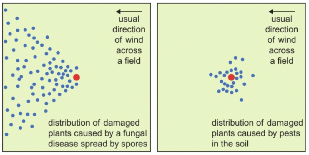<ul><li><p>Plants affected by flooding, drought or soil lacking of nutrients will show stress in majority of an area.</p></li><li><p>Plants affected by a disease spread through the air will show stress in a wide area, in the direction of the wind.</p></li><li><p>Plants affected by a soil pathogen will show stress in a small area.</p></li></ul><p></p>