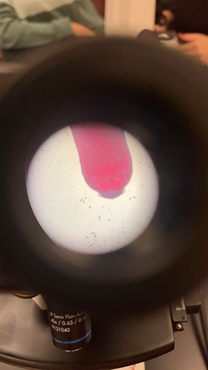 <p>What is this?</p>
