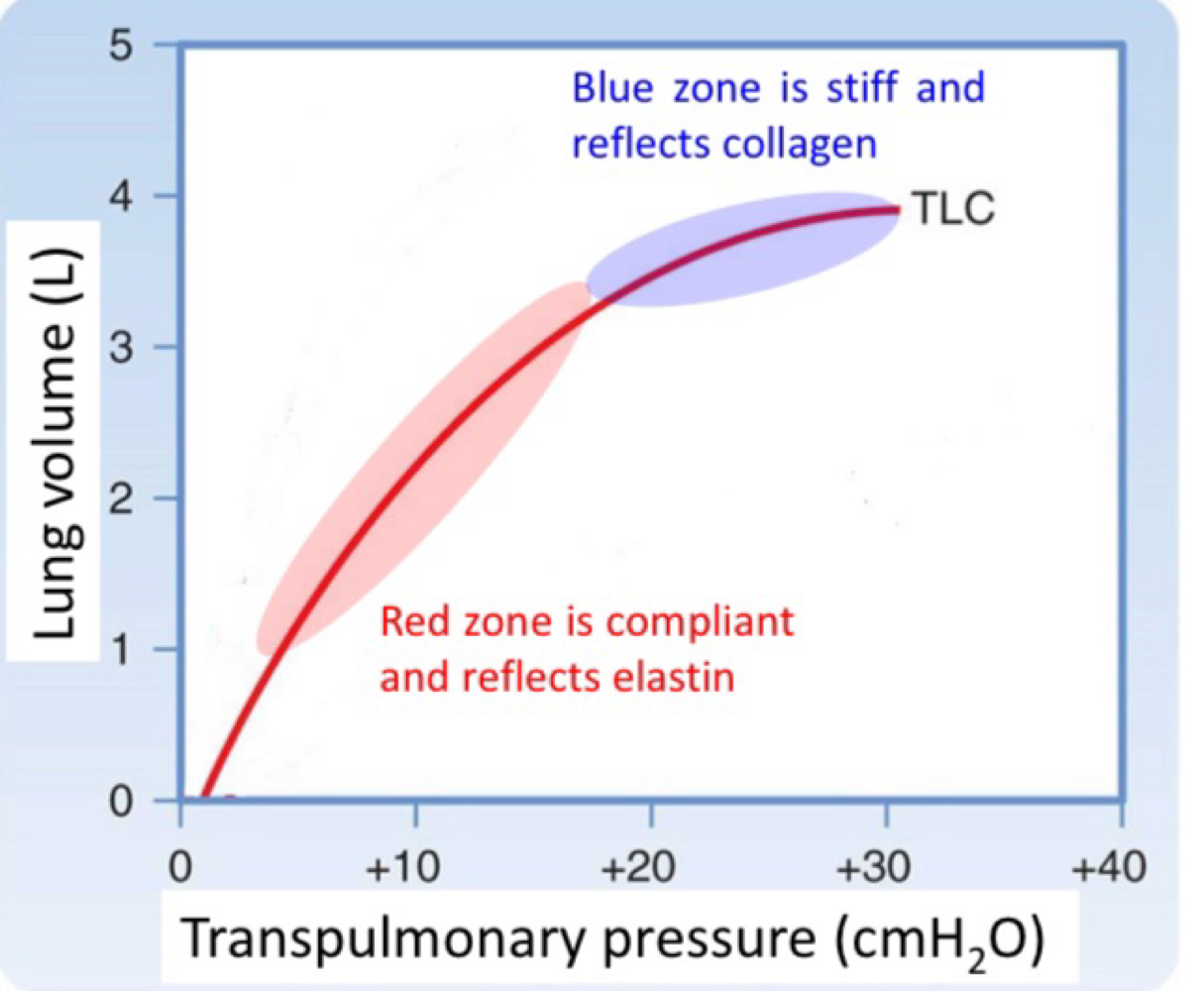 <ul><li><p>compliance determines how easy it is to inflate the lung </p></li><li><p>Volume change per pressure (L/cmH2O)</p></li><li><p>Lung is more compliant at lower lung volumes and become stiff towards total lung capacity </p></li></ul><p></p>