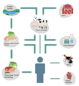 knowt flashcard image