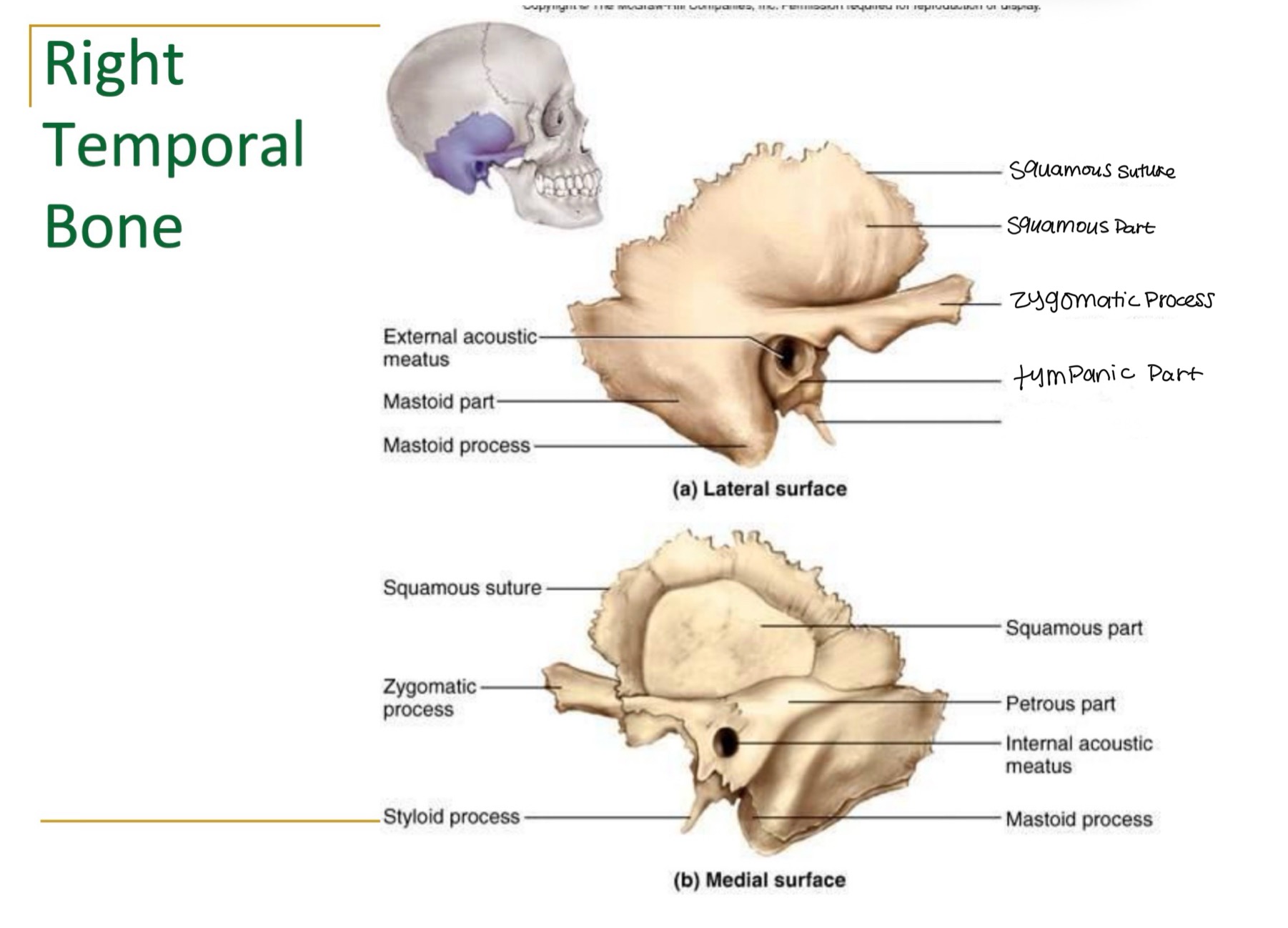 <p><br>label missing word on diagram</p>