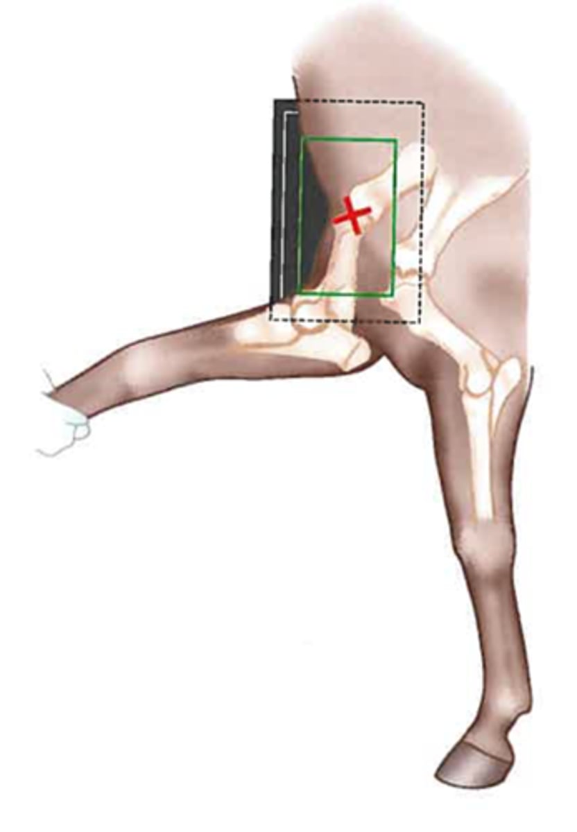 <p>What view is being taken?</p>