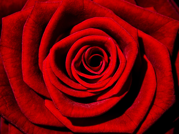 <p>rosso</p>