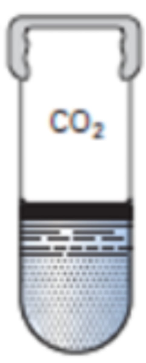 <p>wants CO2 instead of O2</p>
