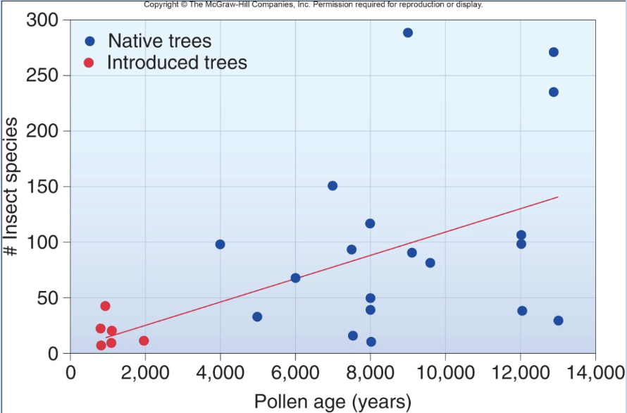 <p>number of insects in british trees by radiocarbon dating pollen</p><p>Older tree species support more insect species</p>