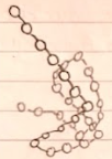 <p>The overall 3D structure of a protein, formed when the secondary structure folds over on itself</p><p>Held together by: HYDROGEN BONDS, IONIC BONDS, DISULPHIDE BRIDGES* and HYDROPHOBIC INTERACTIONS BETWEEN NON-POLAR AREAS.</p><p>*Disulphide bridges form between R groups (usually between two cysteines).</p>