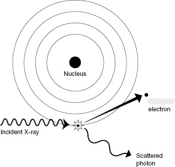 <p>What type of interaction is shown?</p>