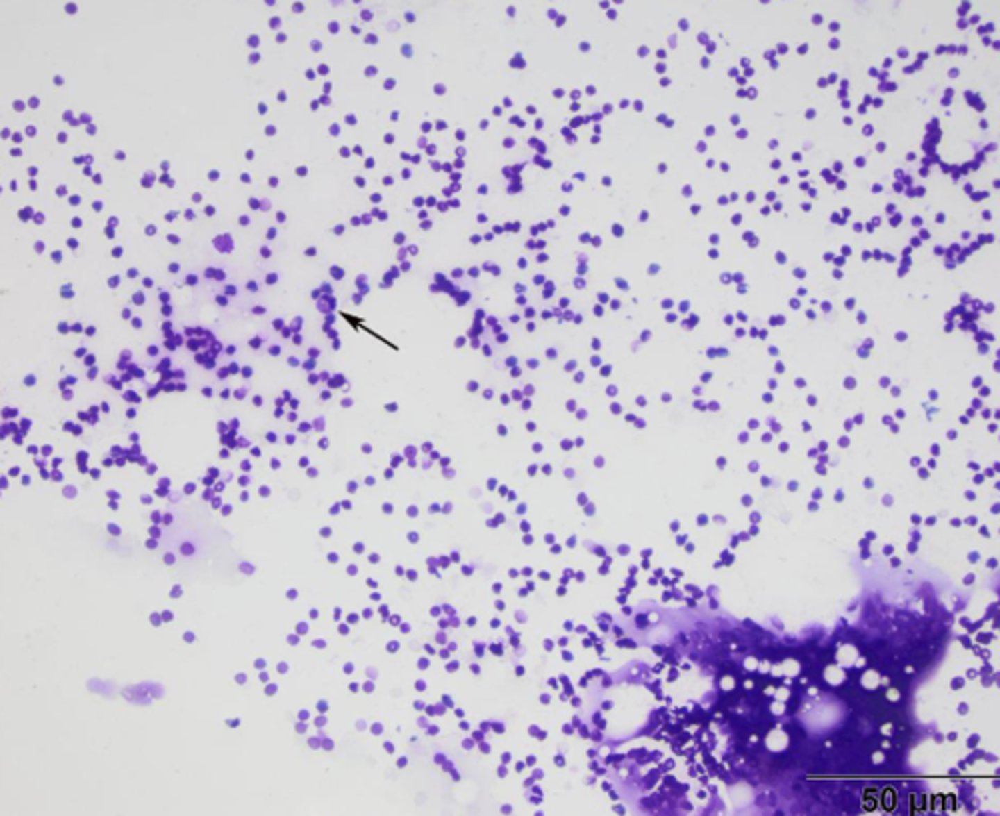 <p>What's wrong with this sample?</p>