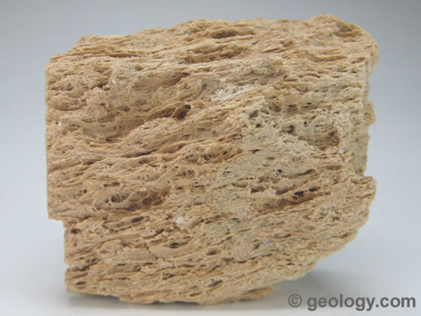 <p>F,I,M,UM: Felsic<br>Texture: Vesicular<br>Mineral composition: silica content, iron, magnesium<br>Other properties: extremely lightweight; long (horizontal) holes in the rock<br>Inferred rock origin: extrusive lava flow; usually a rhyolitic explosion</p>