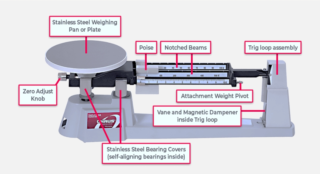 <p>Triple Beam Balance</p>
