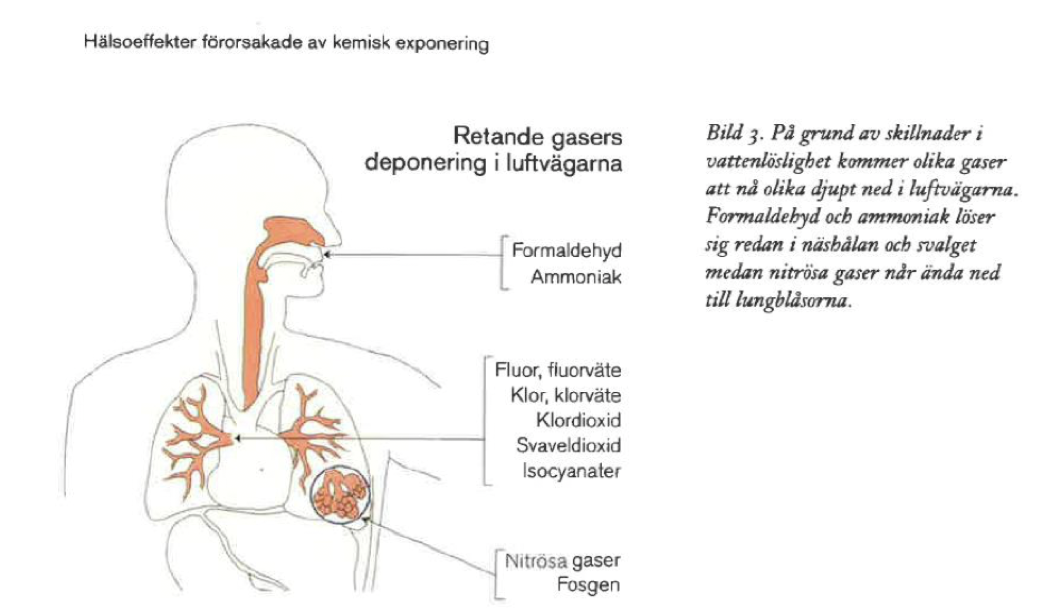 <p>Beroende på hur lätt de löser sig når de olika långt i luftvägarna. Icke-vattenlösliga kan ta sig långt ner. </p>