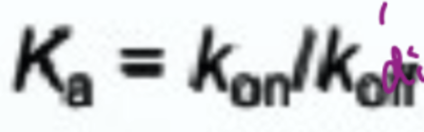 <p>Where k on is the rate of binding</p><p>k off is the rate of dissociation</p>