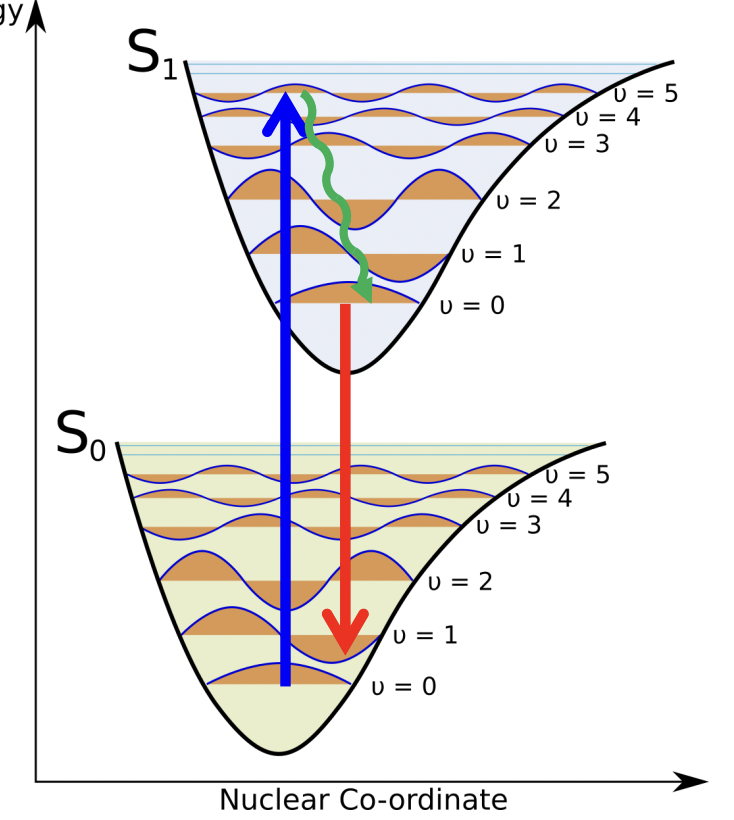 <p>excitation → <u>higher </u>excited vibrational state = ‘hot’ excited state</p><p>fast non-radiative decay of hot modes to bottom of S1 </p><p>radiative decay to ground state, emitting a photon </p><p>relaxation → <u>lower </u>ground vibrational state </p>