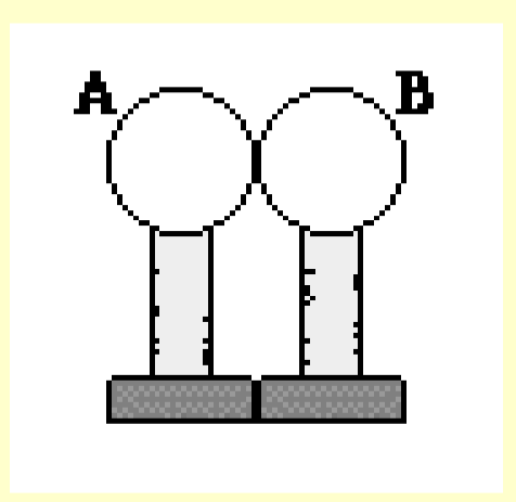 <p>Describe the changes in charge when a negative balloon is put near two metal spheres A and B</p>