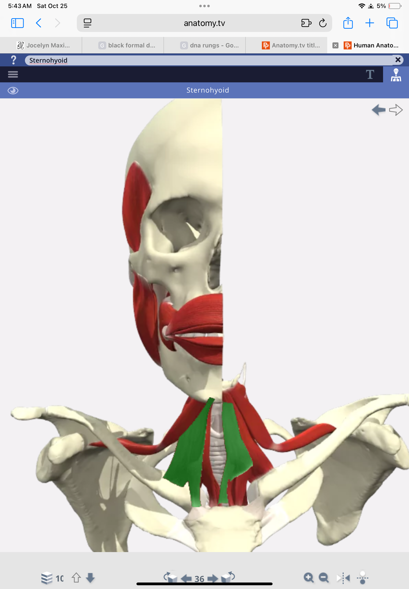 knowt flashcard image