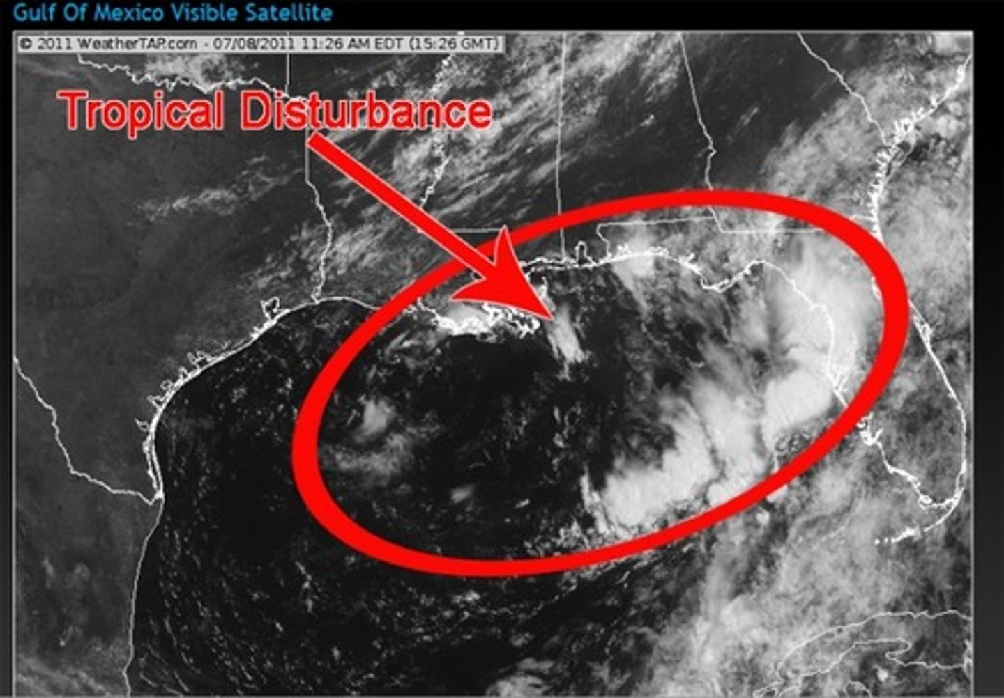 <p>A cluster of thunderstorms near the equator that moves with the prevailing winds.</p>