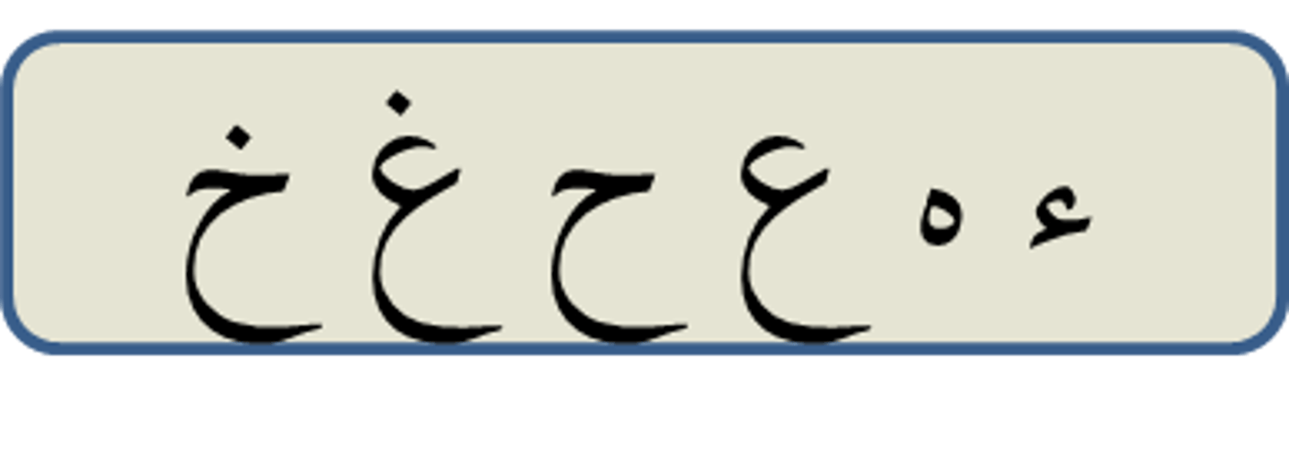 <p>ء ه ع ح غ خ</p>