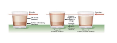 <ul><li><p>Diathesis = physiological vulnerability</p></li><li><p>Inherit vulnerability for disorder</p></li><li><p>Risk for expression influenced by stress</p></li><li><p>Stress not constant … risk for expression of disorder relatively fluid</p></li><li><p>Contemporary models also allow for psychosocial diatheses</p></li></ul><p></p>