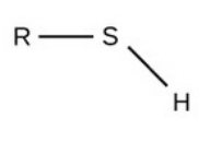 <ul><li><p>polar</p></li><li><p>hydrophilic (Sulfur is electronegative)</p></li></ul><p>req.</p><ul><li><p>has S &amp; H</p></li></ul>