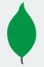<p>leaf complexity?</p>