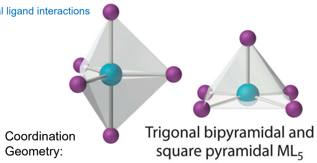 <ul><li><p>Square pyramidal or trigonal bipyramidal</p></li><li><p>Rare, and in reality are often distorted shapes from metal-ligand interactions</p></li></ul><p></p>