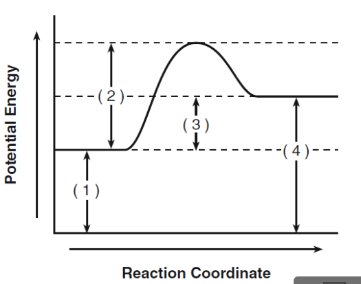 <p>What does 4 represent?</p>