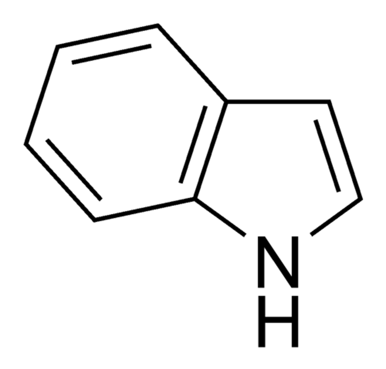 <p>benzene+pyrrole</p><p>found in tryptophan</p>