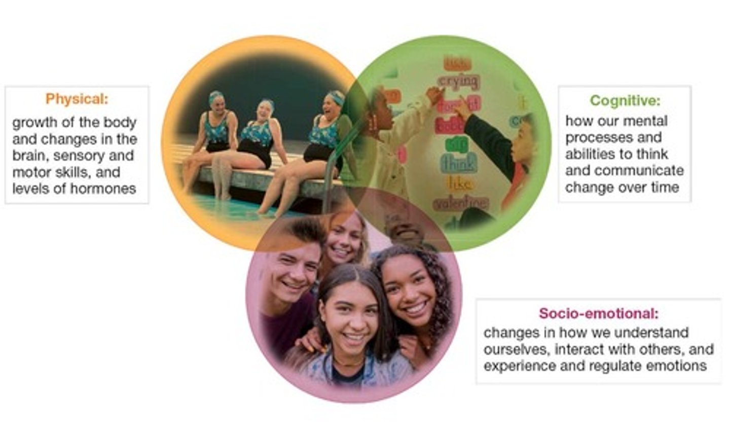 <p>Physical depicts:growth of the body and changes in the brain, sensory and motor skills, and levels of hormones.</p><p>Cognitive depicts:how our mental processes and abilities to think and communicate change over time.</p><p>Socio-emotional depicts:changes in how we understand ourselves, interact with others, and experience and regulate emotions.</p>