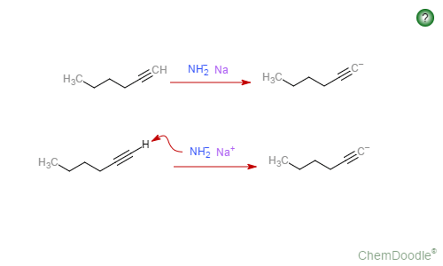 <p>alkynyl anion</p><p>deprotonation of terminal alkyne</p>