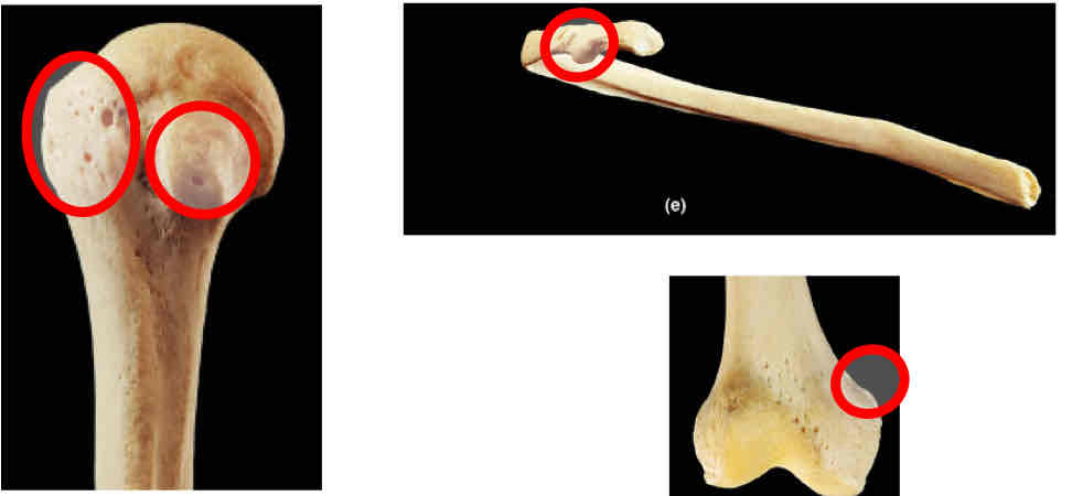 <p>Identify this </p>