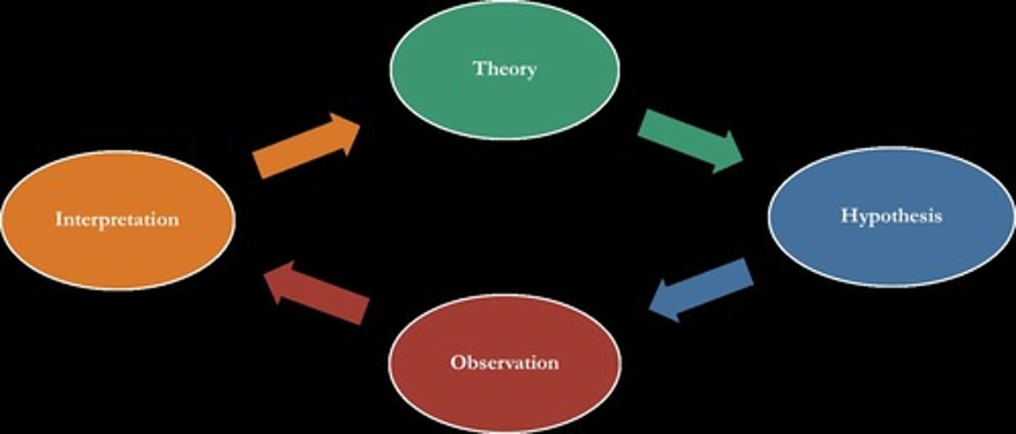 <p>Facts lead to theories, leading to hypothesis, theories might become facts.</p><p>Theory (use theory to make a prediction)</p><p>-> Prediction (design an experiment to test theory)</p><p>-> Experiment (perform experiment)</p><p>-> Observation</p><p>-> Theory (create or modify the theory after observation of experiment)</p>