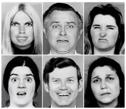 <p>anger,disgust,fear,joy,sadness,surprise</p>