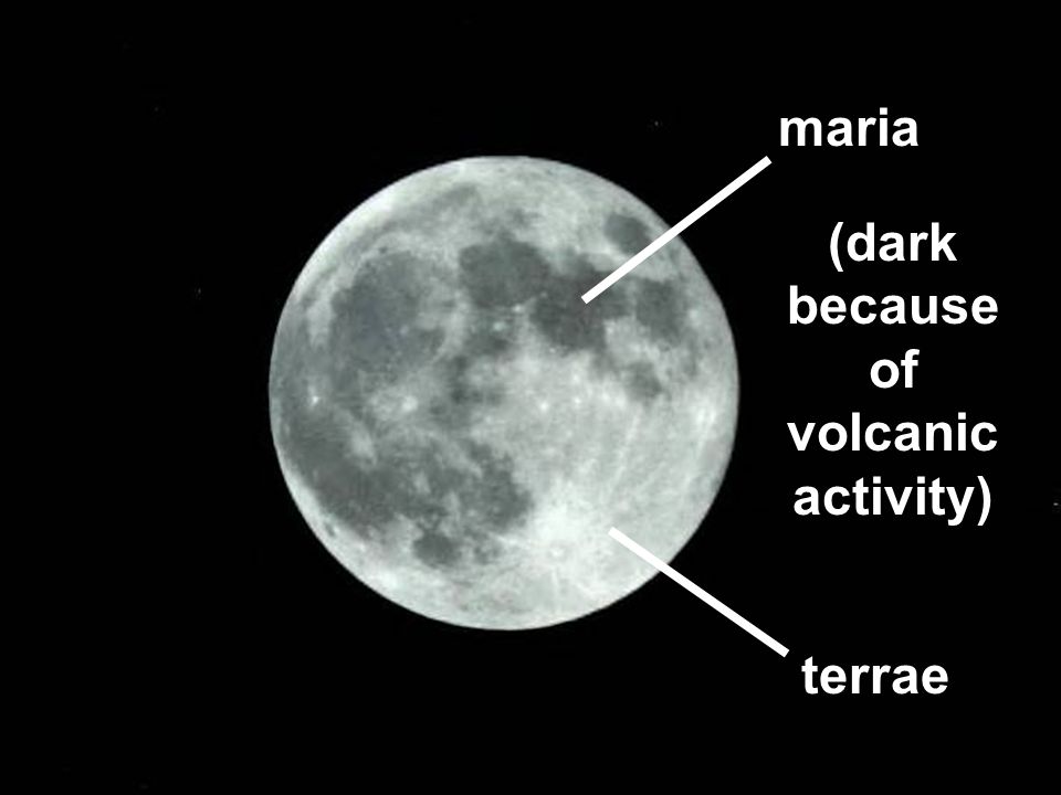 <ul><li><p><mark data-color="red"><strong>Maria</strong></mark> = Large, dark-grey, relatively smooth lunar seas made of iron-rich basaltic rock.</p></li><li><p><mark data-color="red"><strong>Terrae</strong></mark> = lighter-grey, mountainous, high-cratered highlands composed of anorthosite, a course-grained igneous rock.</p></li></ul>