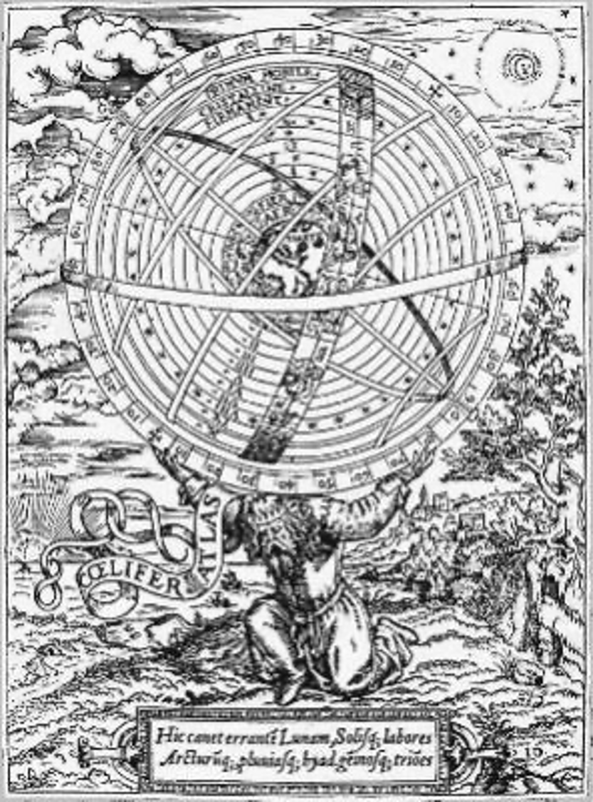 term image