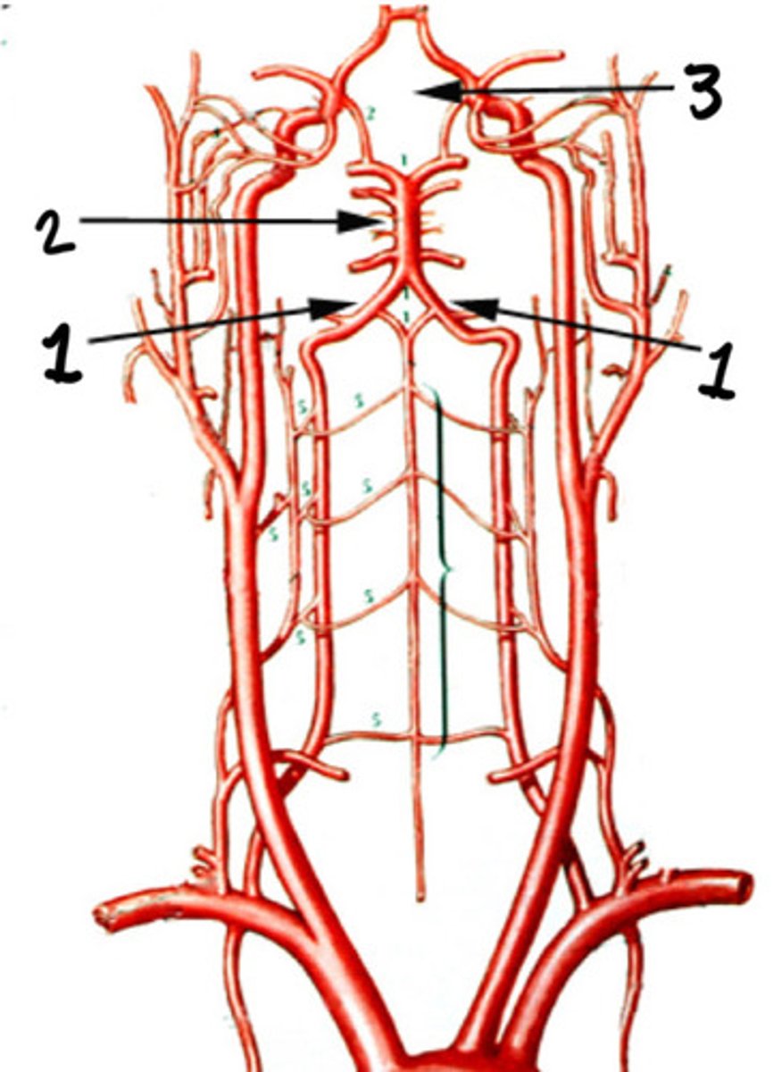 <p>What is 3</p>