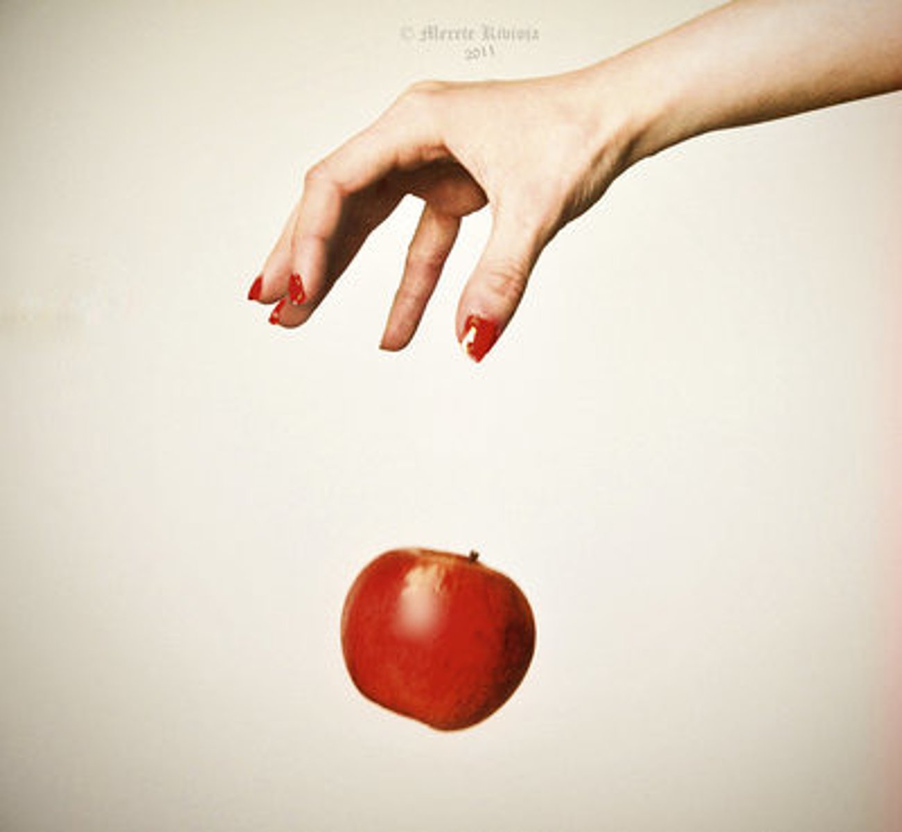 <p>Generalizes or describes an observation or pattern observed in the natural world.</p>